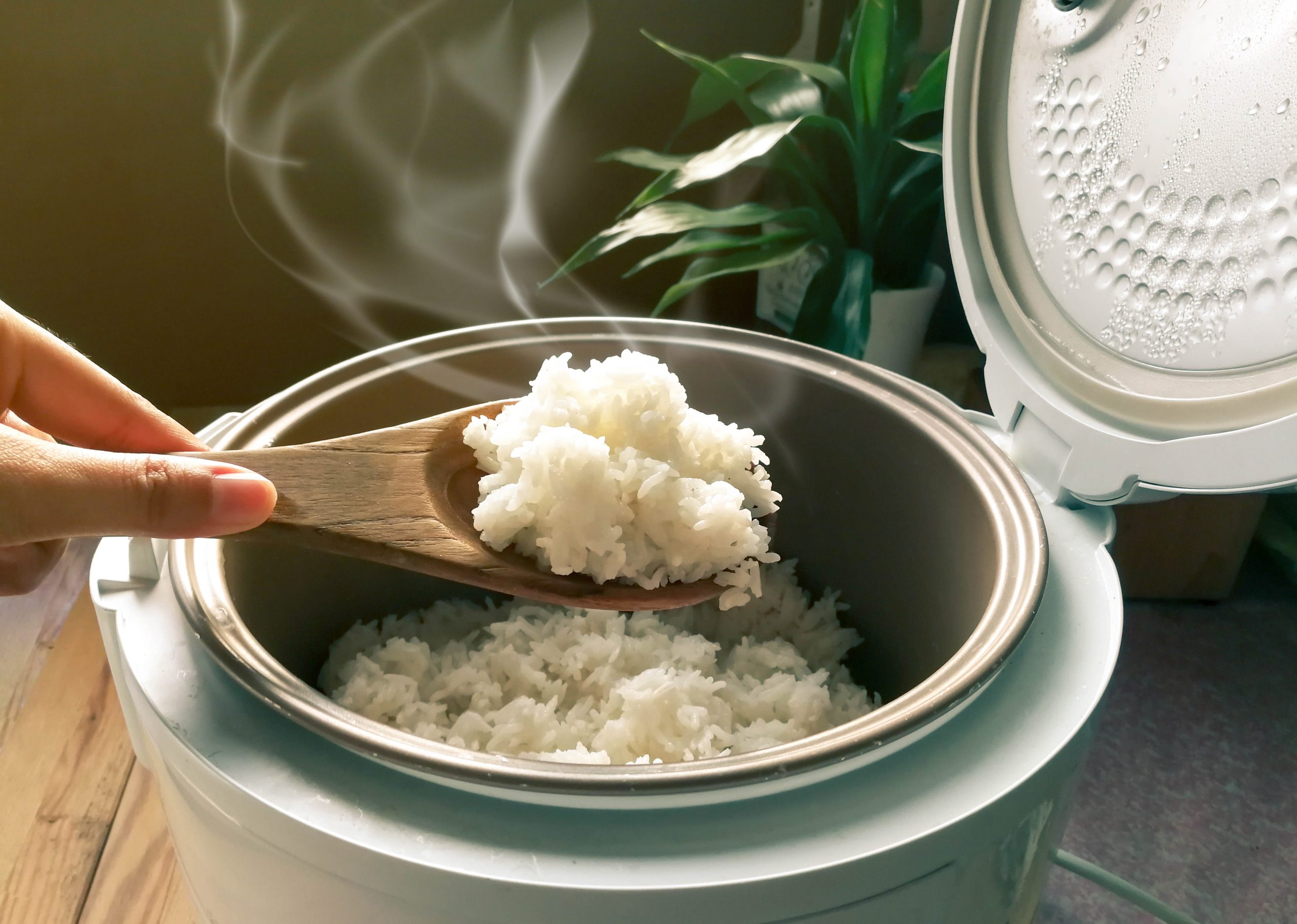 Como limpar panela elétrica de arroz: tutorial prático