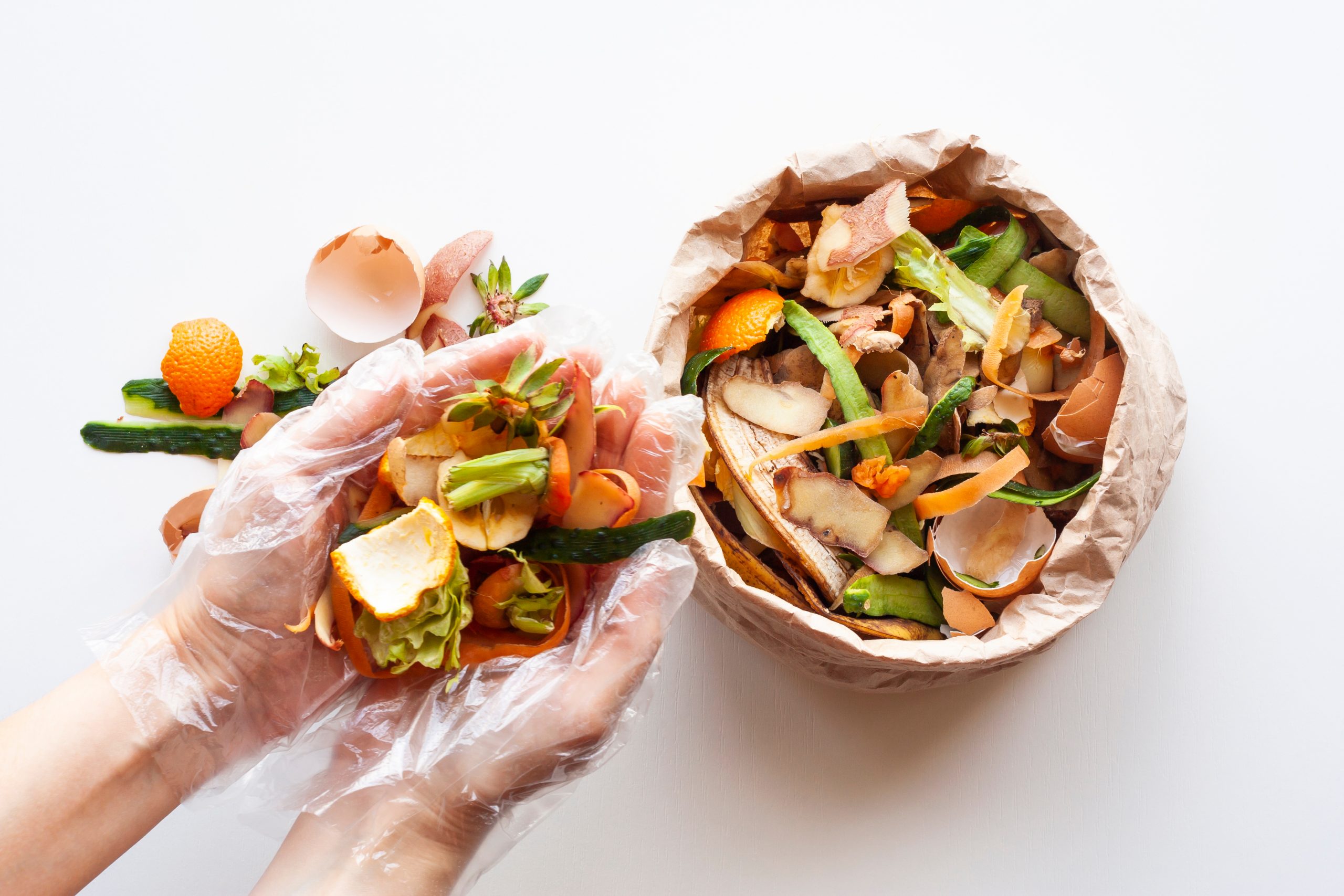 Duas mãos juntas, revestidas com luvas transparentes, com restos de alimentos, direcionada para um saco de papelão repleto de restos de alimentos.
