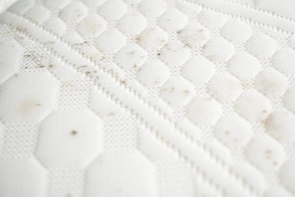 Imagem de um detalhe da superfície branca de um colchão com manchas de mofo pretas dispersas. 